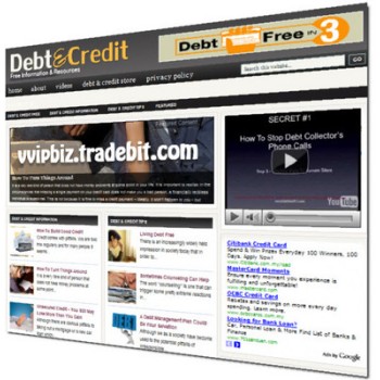 Debt and Credit Niche Wordpress Blogs + Review Sites