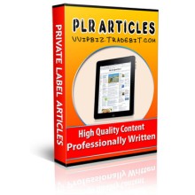 52 Work At Home PLR Articles