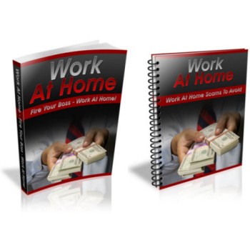 Work At Home Blueprint PLR Ebook