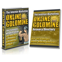 Internet Marketing Goldmine PLR eBook