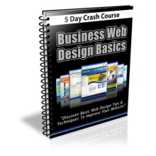 Business Web Design Basics Course - PLR Newsletter