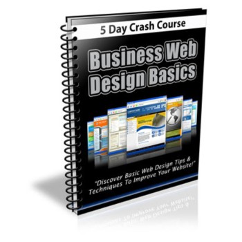 Business Web Design Basics Course - PLR Newsletter
