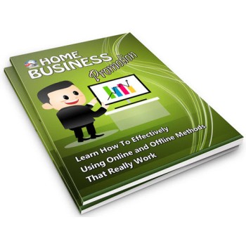 Home Business Promotion PLR Newsletter Series