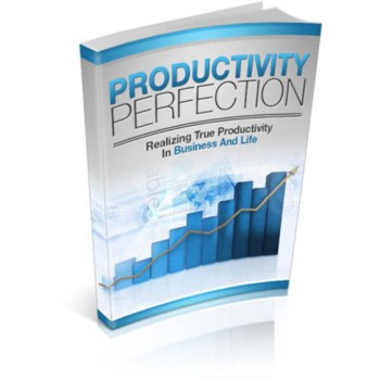 Productivity Perfection MRR/ Giveaway Rights Productivity Perfection MRR/ Giveaway Rights