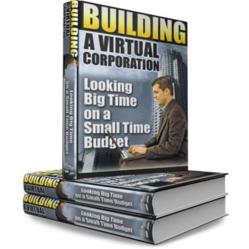 Building a Virtual Corporation - PLR