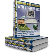 Buying And Selling Web Businesses - PLR