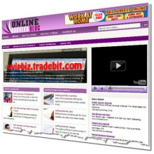 Paid Online Surveys PLR Niche Wordpress Blogs (3 Income Streams) + Review Sites
