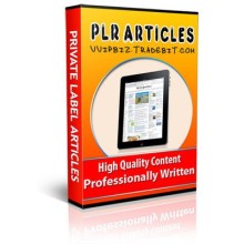 Credit Card Processing Plr Articles Credit Card Processing Plr Articles
