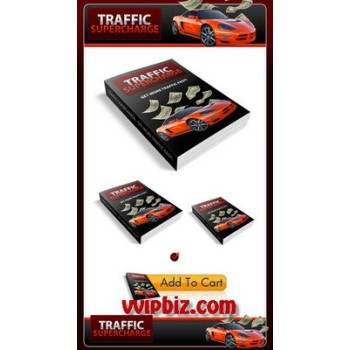 Traffic Generation Plr Minisite Templates & PLR Ebook Packs