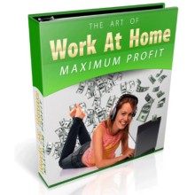 Work at Home Maximum Profits PLR Ebook Package