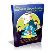 How to Identify Business Opportunities and Make the Most of Them - MRR