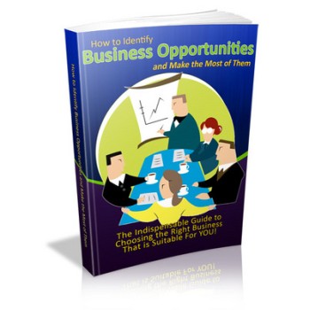 How to Identify Business Opportunities and Make the Most of Them - MRR