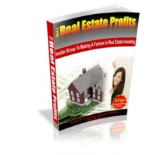 The Real Estate Profits MRR EbooK