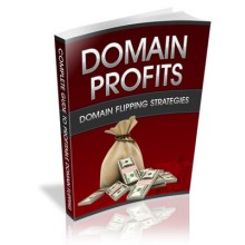 DOMAIN FLIPPING STRATEGIES DOMAIN FLIPPING STRATEGIES