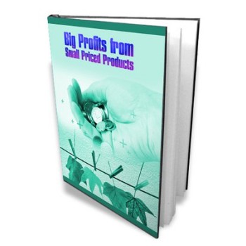 Big Profits From Small Priced Products MRR Ebook