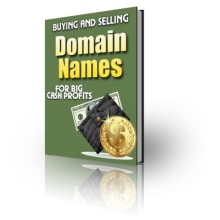 Buying and Selling Domain Names PLR Ebook