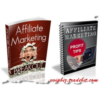 Affiliate Marketing Breakout