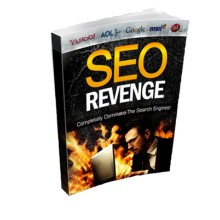 SEO Revenge 2010 With BONUS