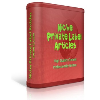 Business Model PLR Articles